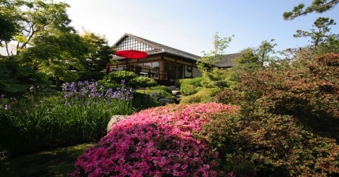 Die japanischen Gärten 